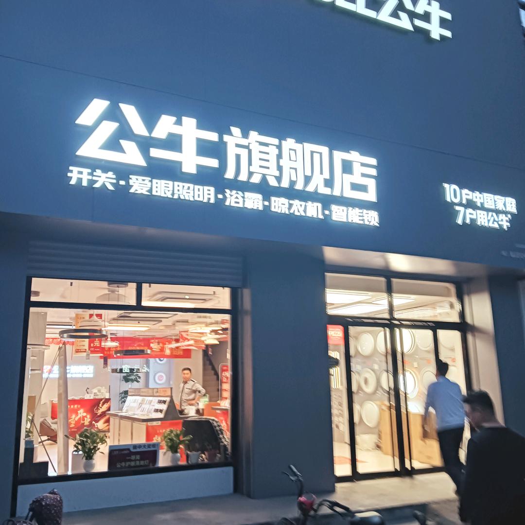 武邑公牛  TCL照明   雷士照明