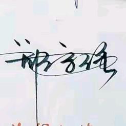 杨＊＊