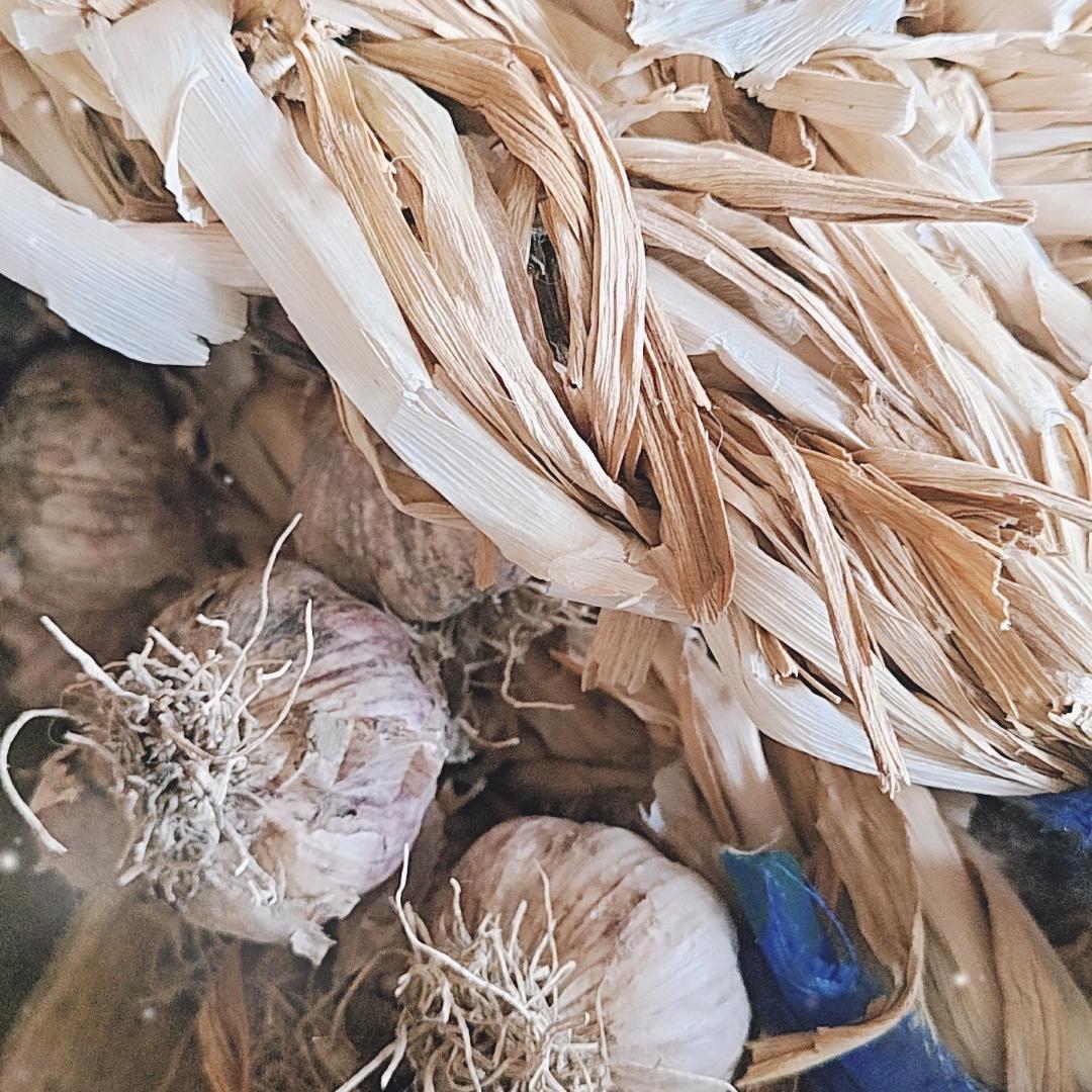 河北的，李哥，