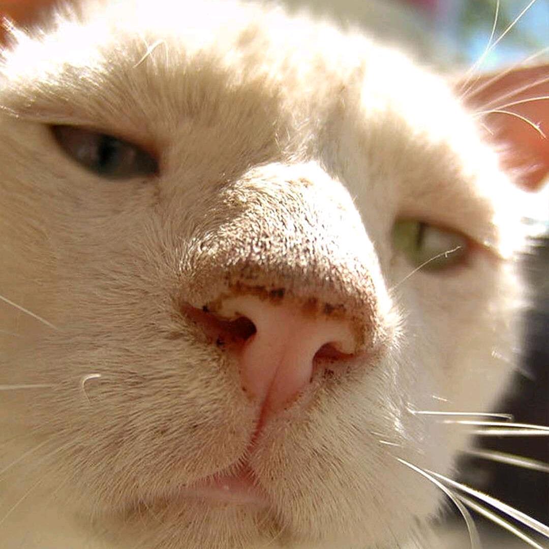 小修