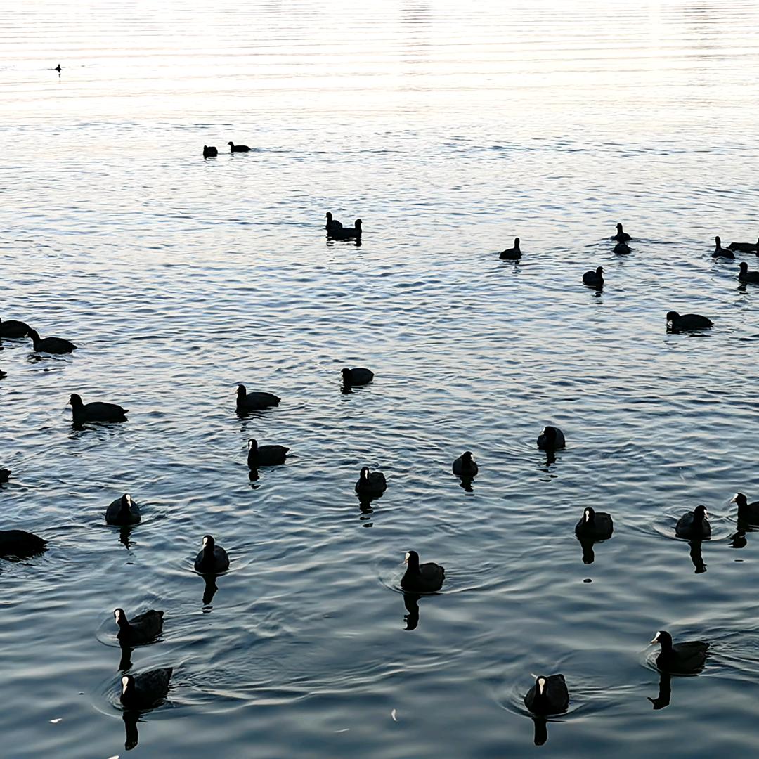 晚风.🚶‍♂️