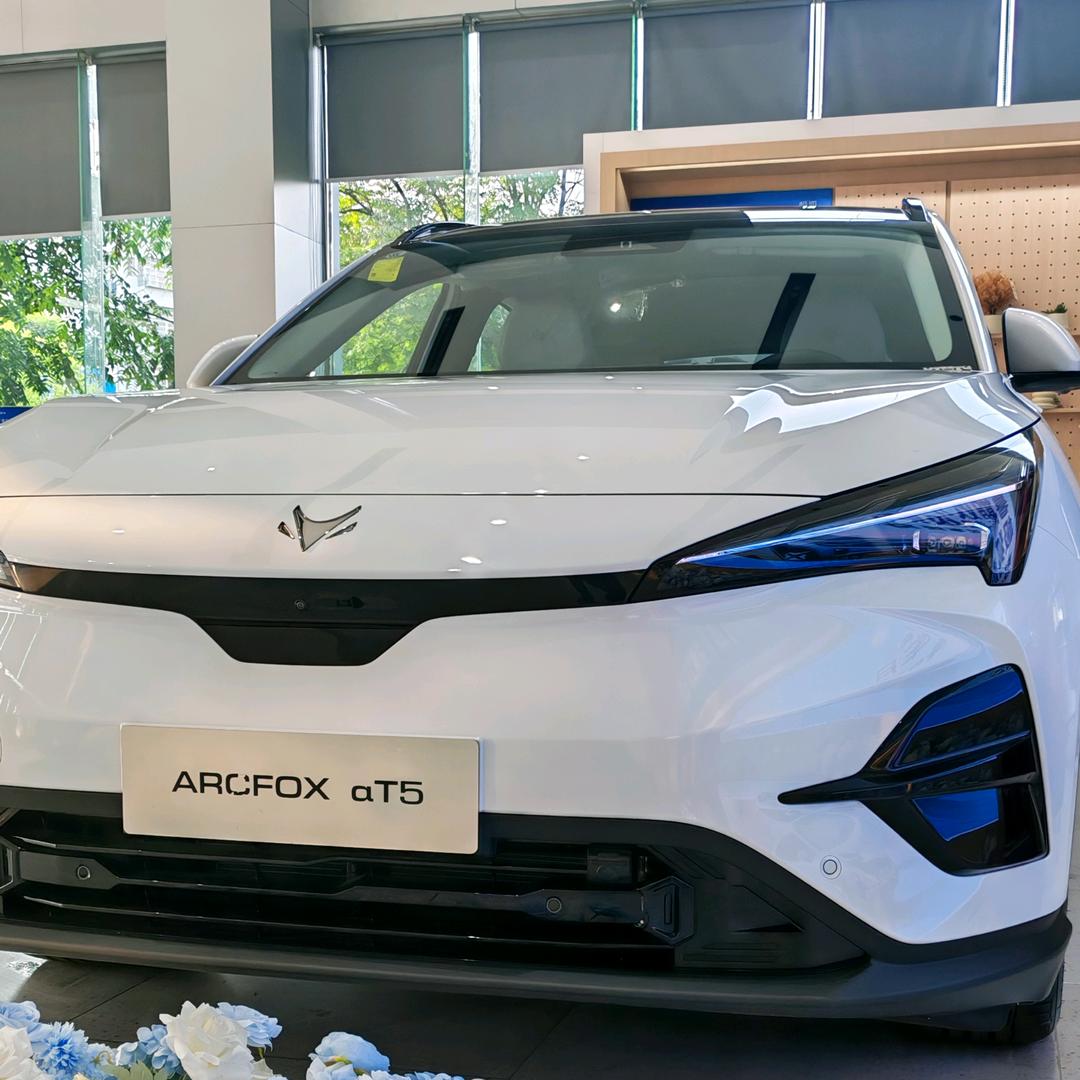 宜春极狐销售-大海