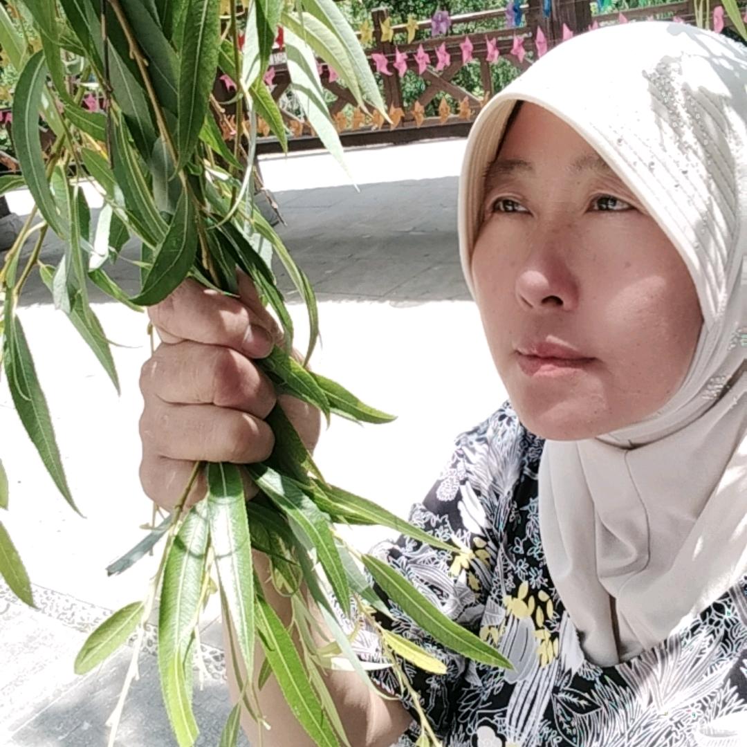 开心过好每一天