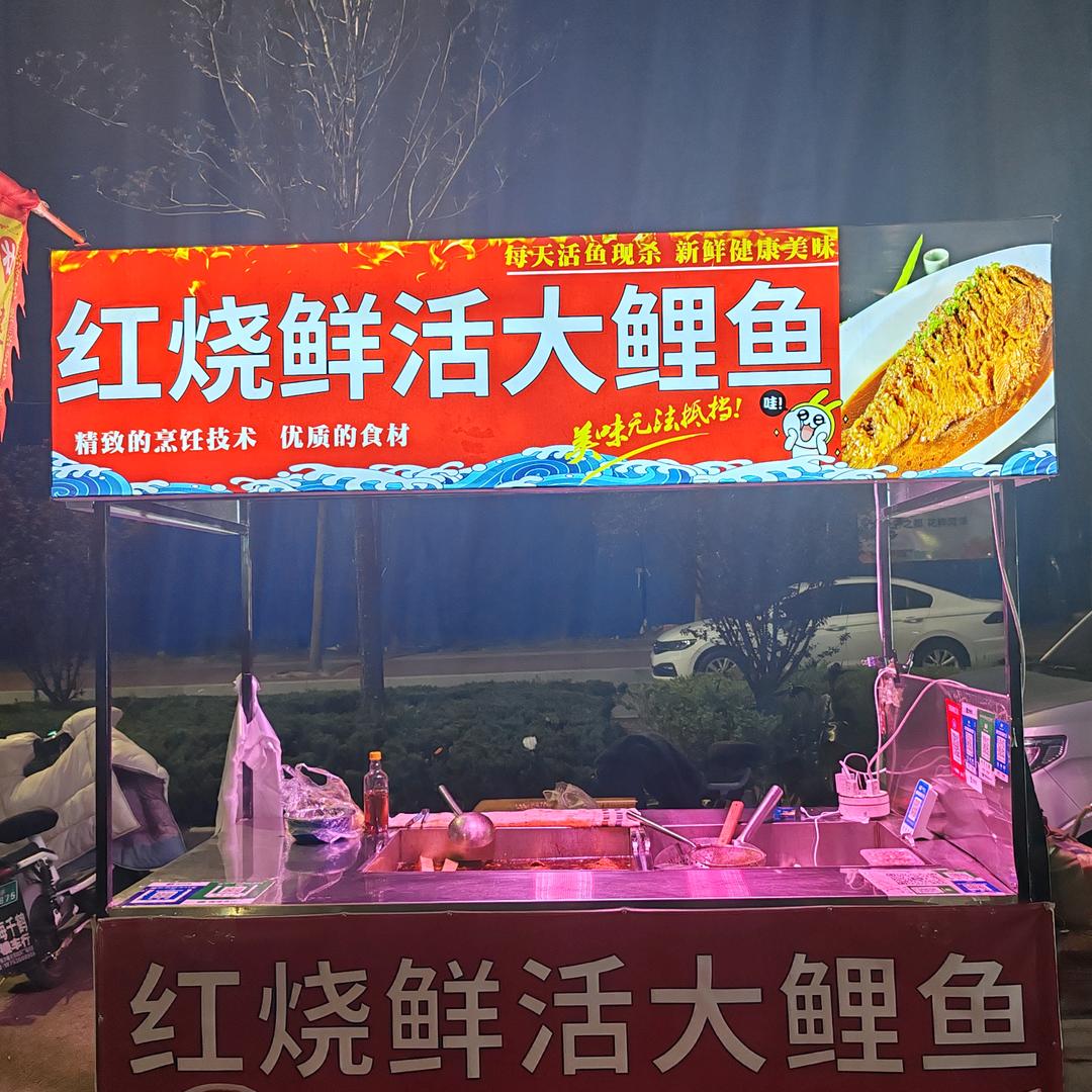 大壮红烧鲜活大鲤鱼