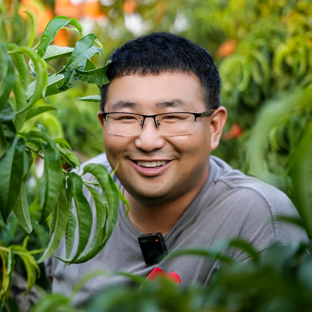 东北大龙鲜果园