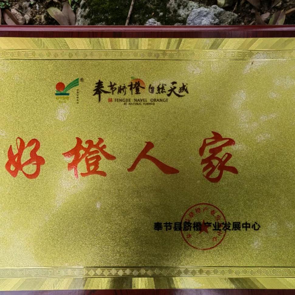 余氏江边橙(名世清)生活号
