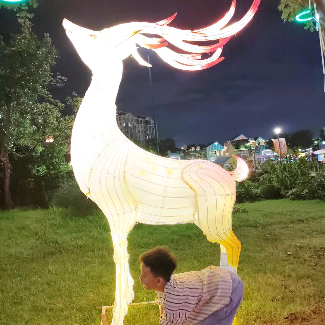 秋563786340