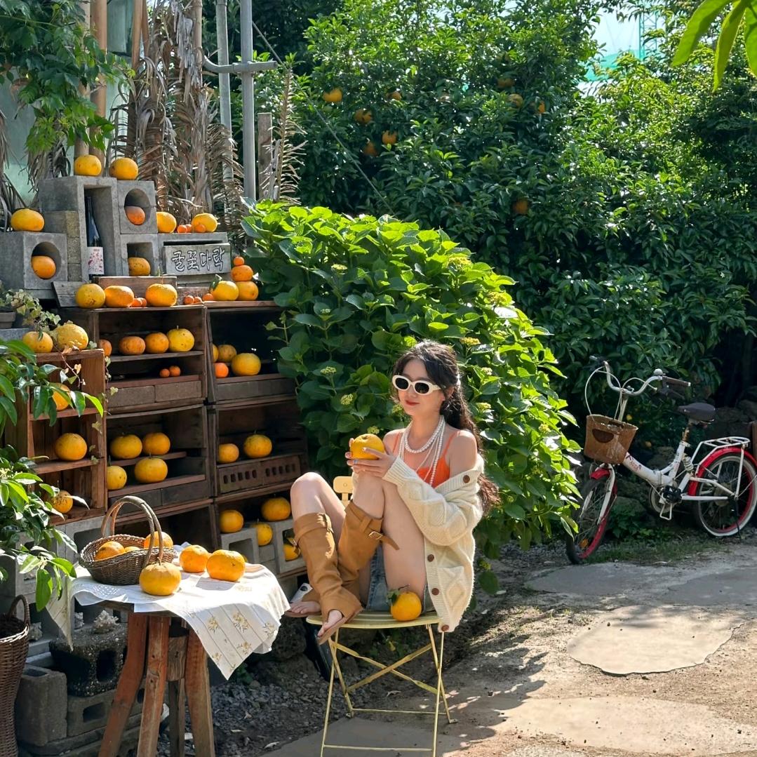 济州岛规划🇰🇷橘子🍊