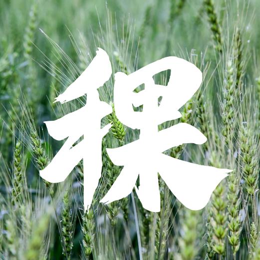 稞言新声