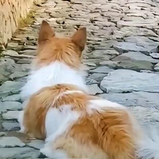 若即若离