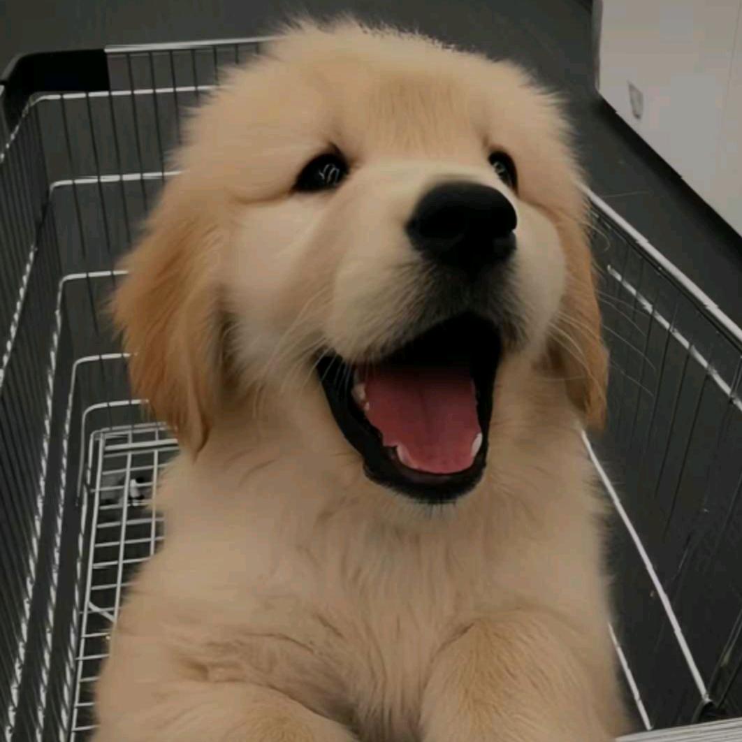 🌈蕉个好运✨