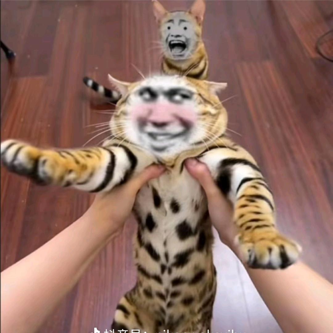 ①各无茗