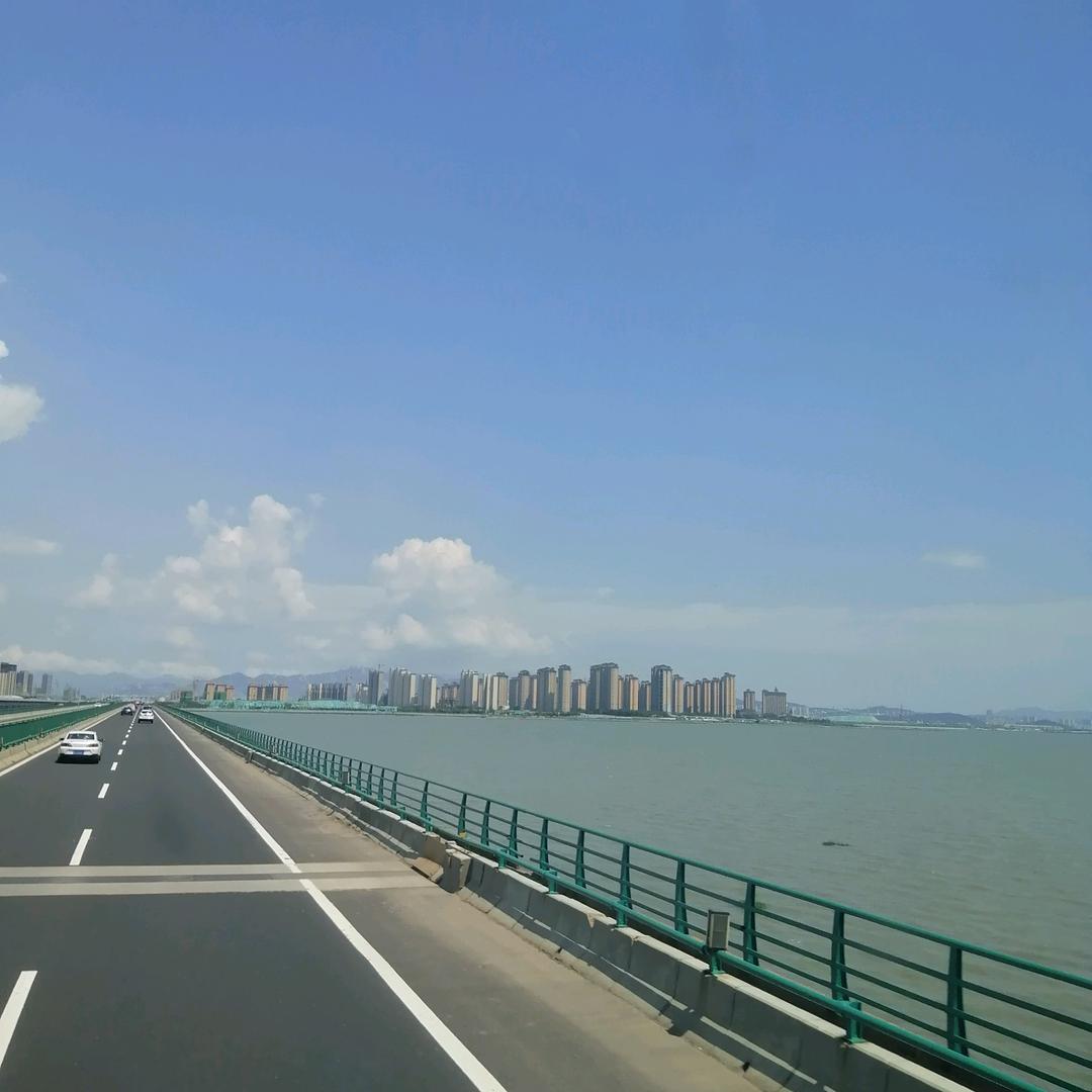 柠檬不酸