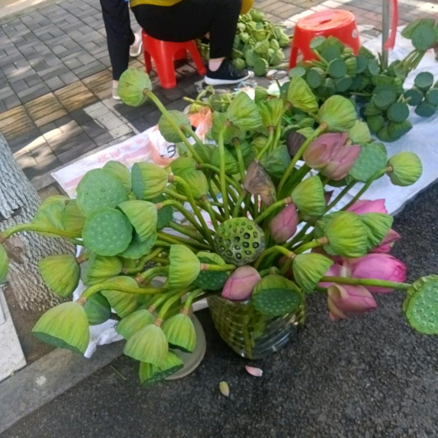 逗你玩蛋总