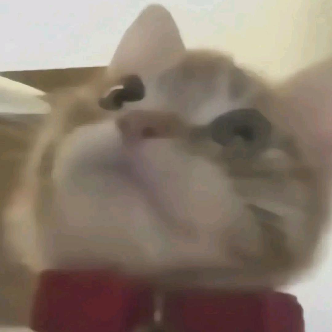 🦞