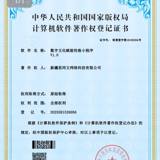 思同文网络科技臻选店