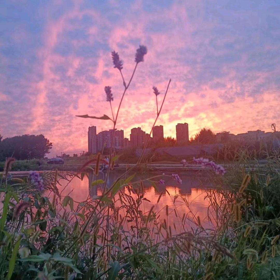 沈阳胖哥垂钓园
