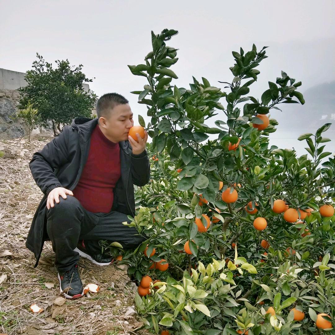 福贵【宜昌上大人】