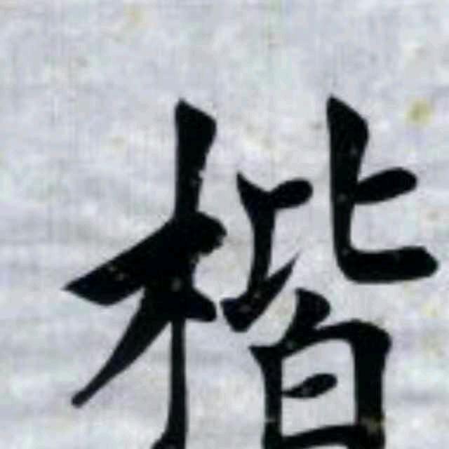 金楷