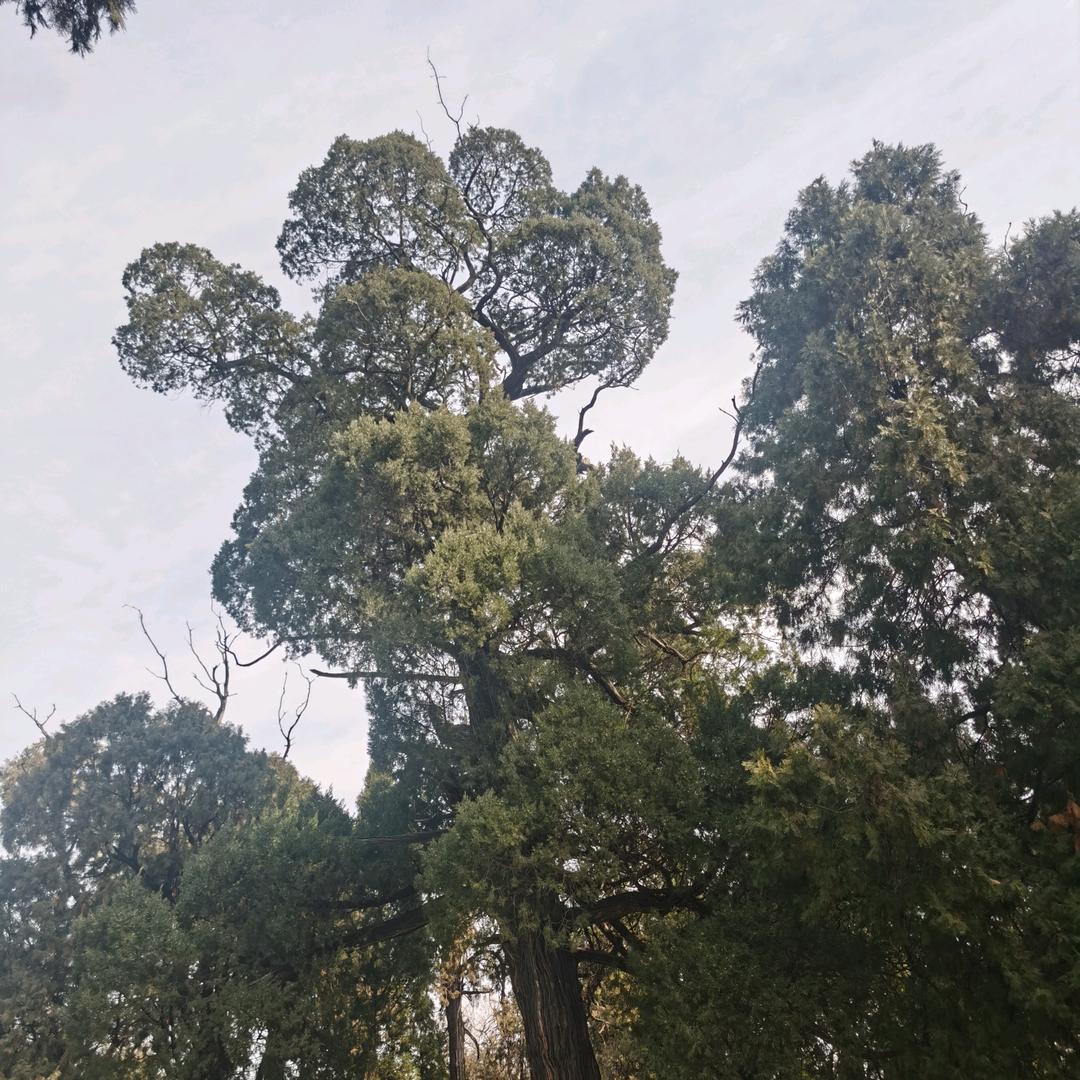 闯一闯