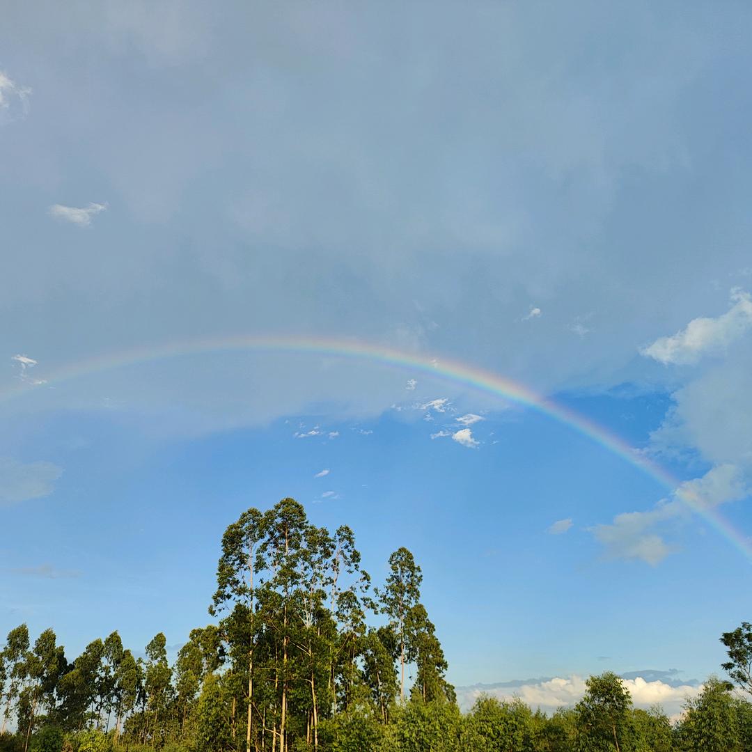 江湖险恶不留名