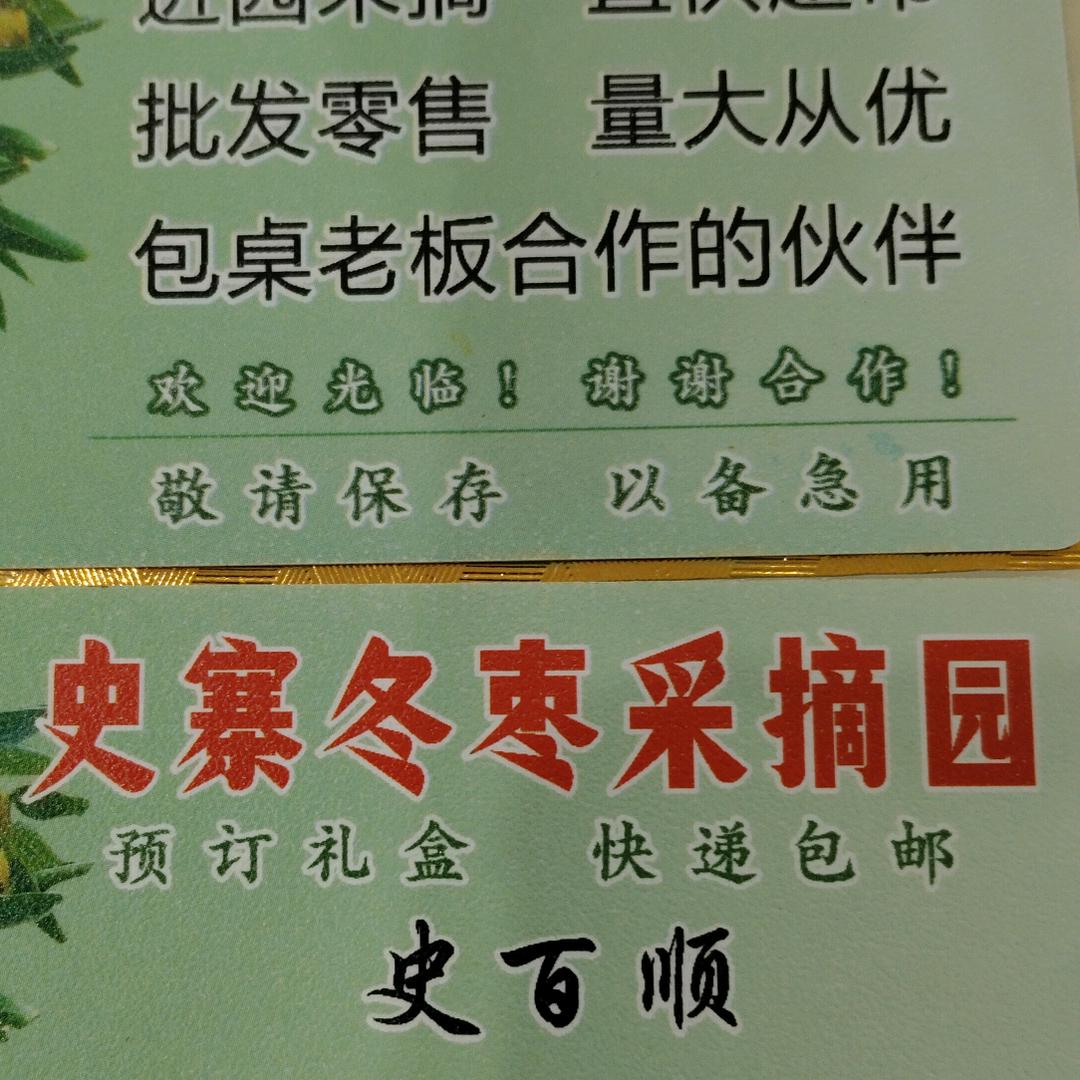 史百顺冬枣采摘园