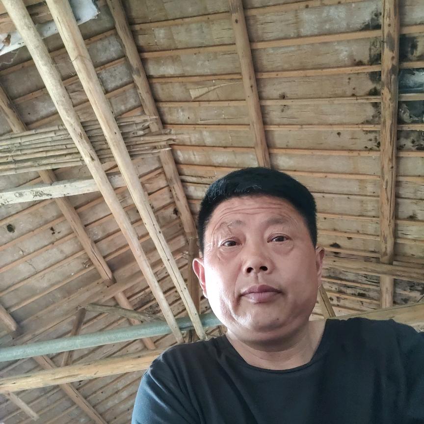 用户25796490好大一棵树