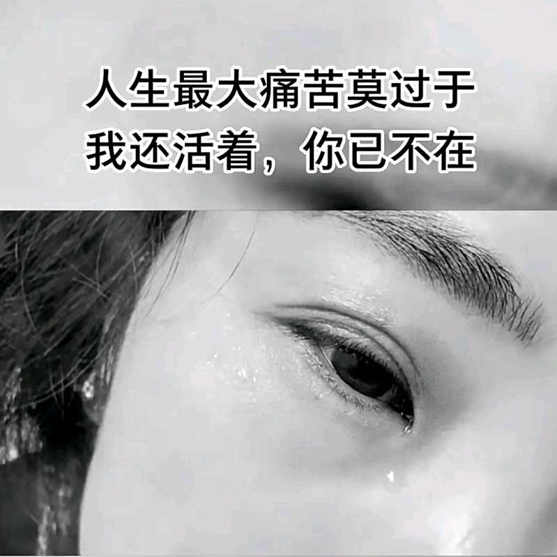 羊爱上狠