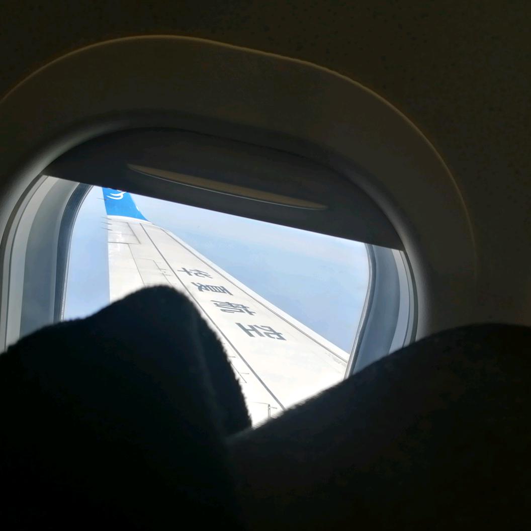 一个无聊有趣的药师