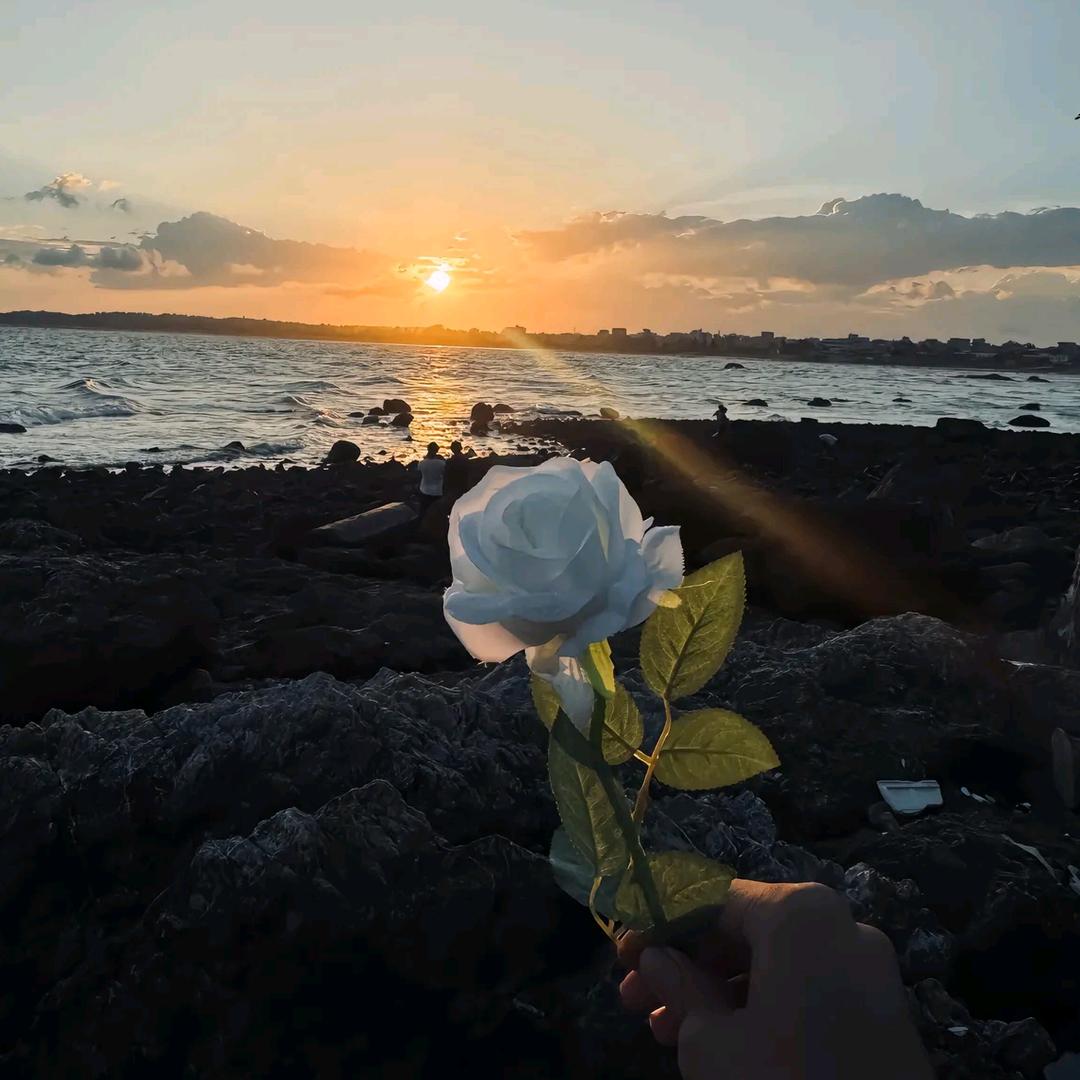 Sam（三角洲纯绿跑刀）