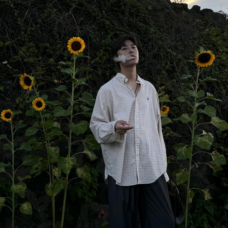 爱跳舞的文西