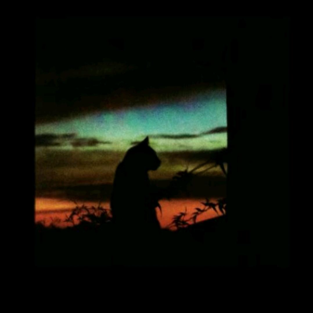 映影