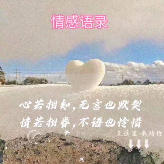 梦想成真情感语录