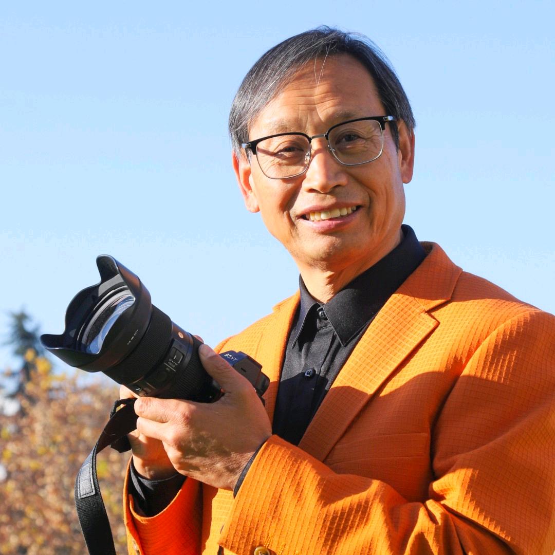 淅川薇薇新娘婚纱摄影
