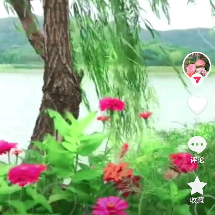覃氏一家亲
