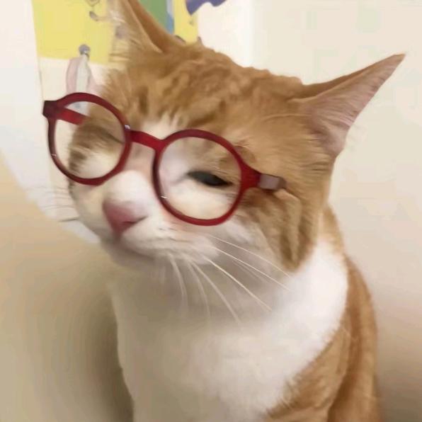 迟迟