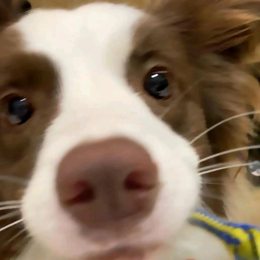 求159长高21cm方法