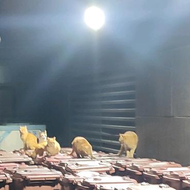 文琪🉑🈶🉑🈚