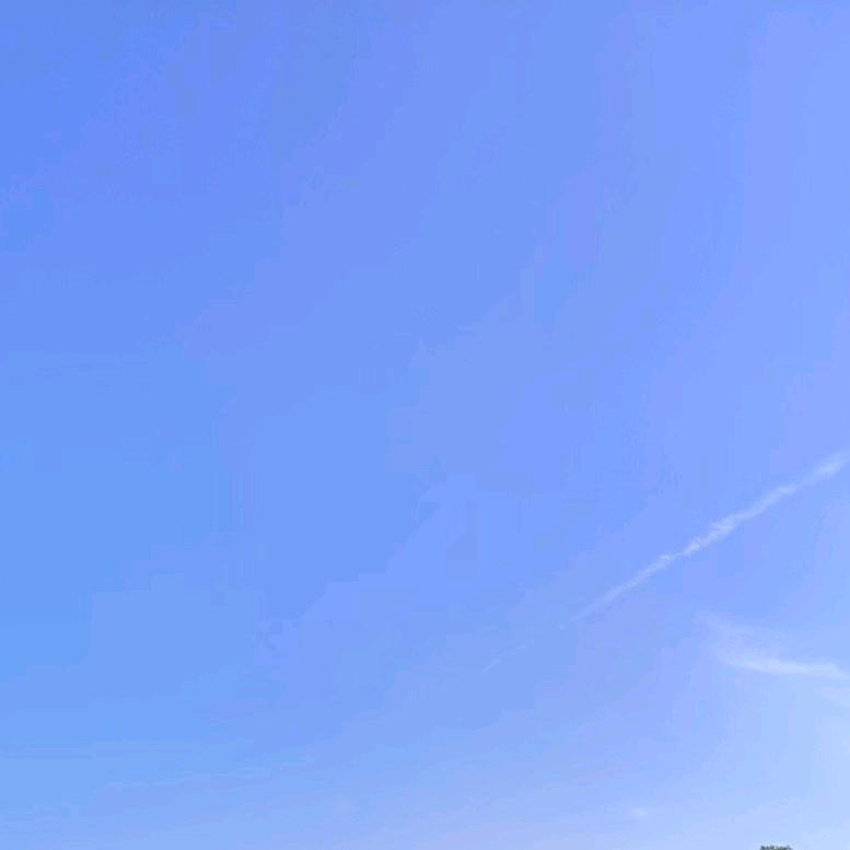 金晶