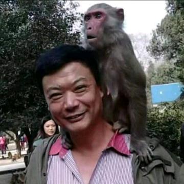 罗哲渊