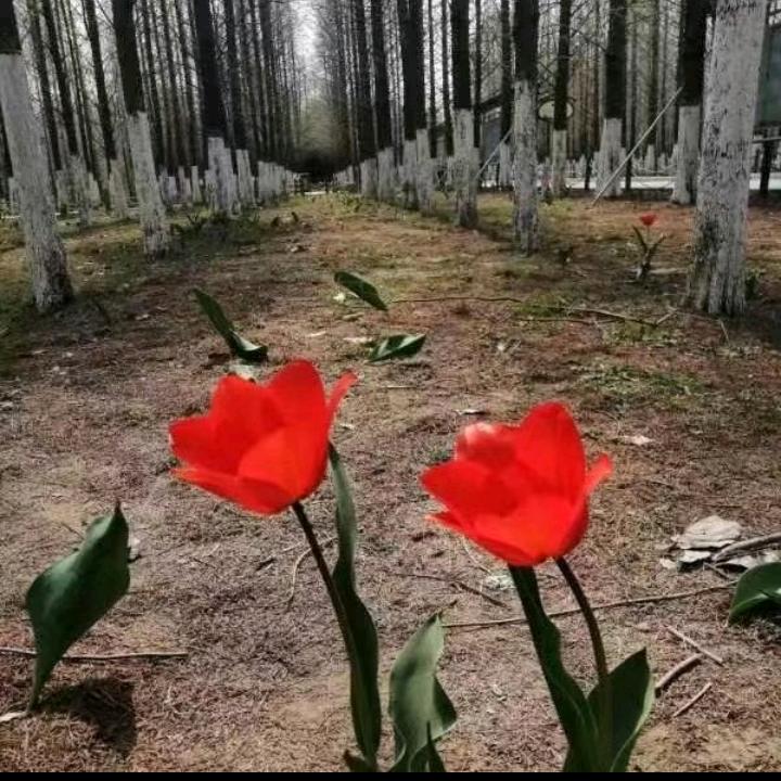 乐意自在