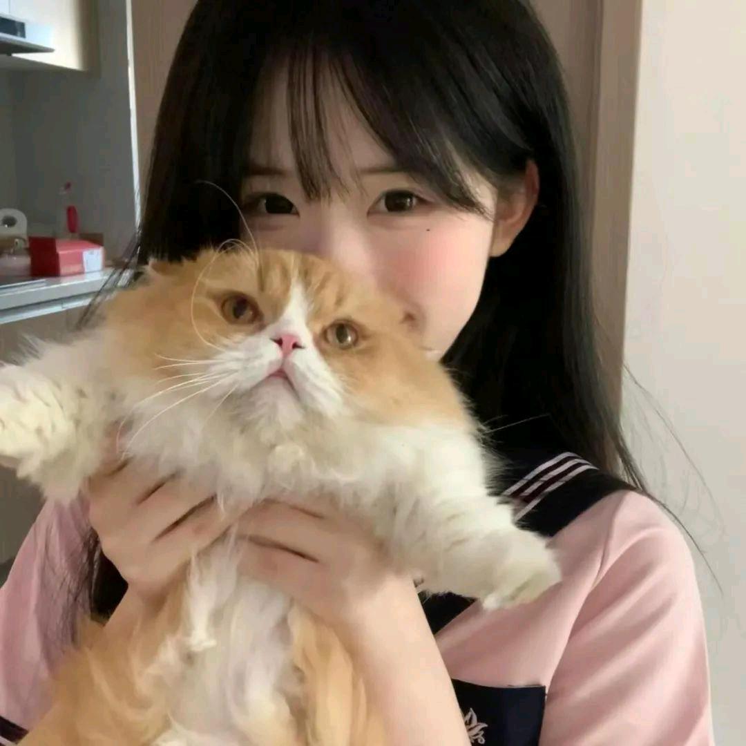 小羊＾