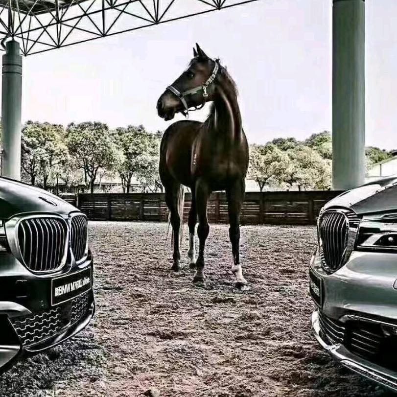 蓝天白云 ✨🍁