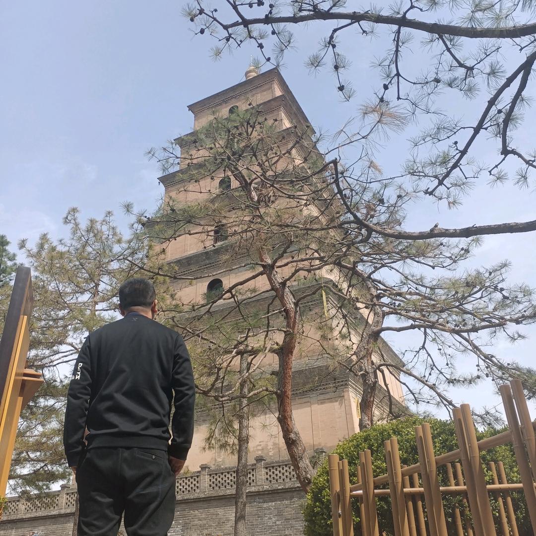 大宝天天见呀