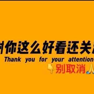 华仔的探店日记