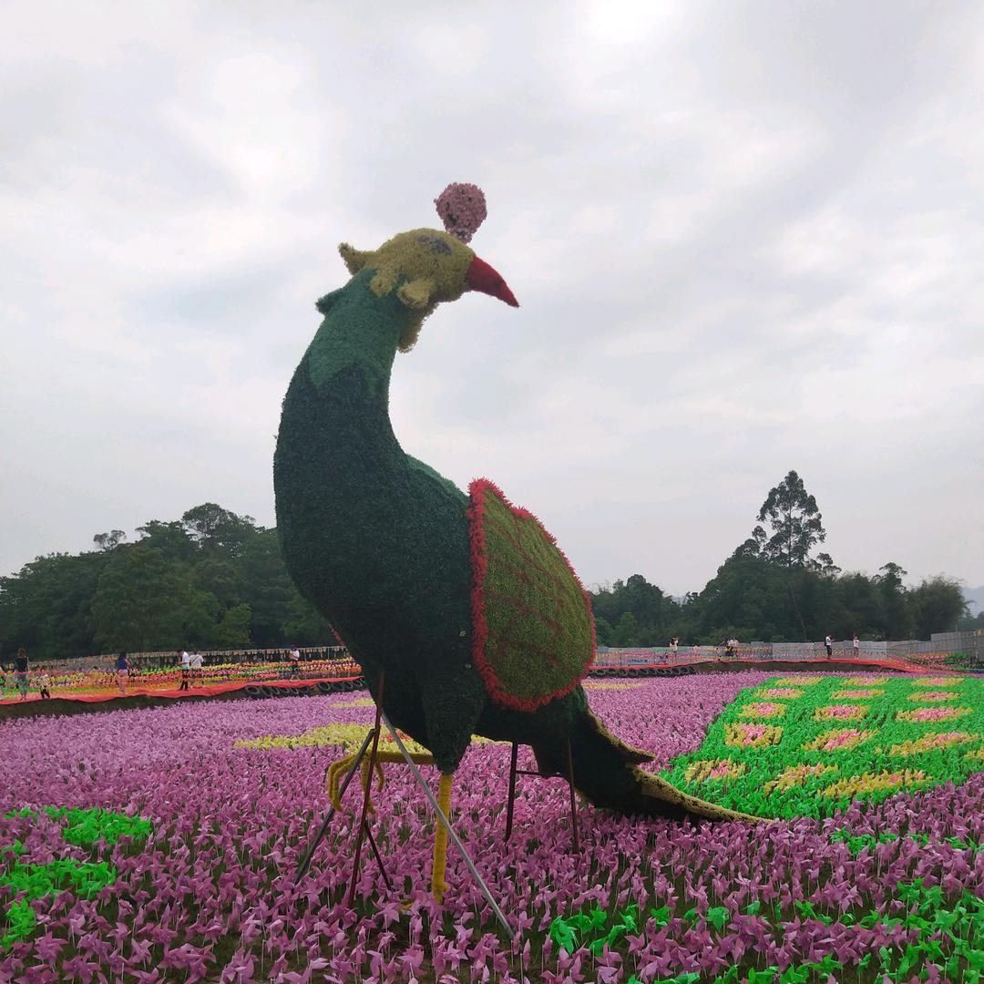 坚持^O^