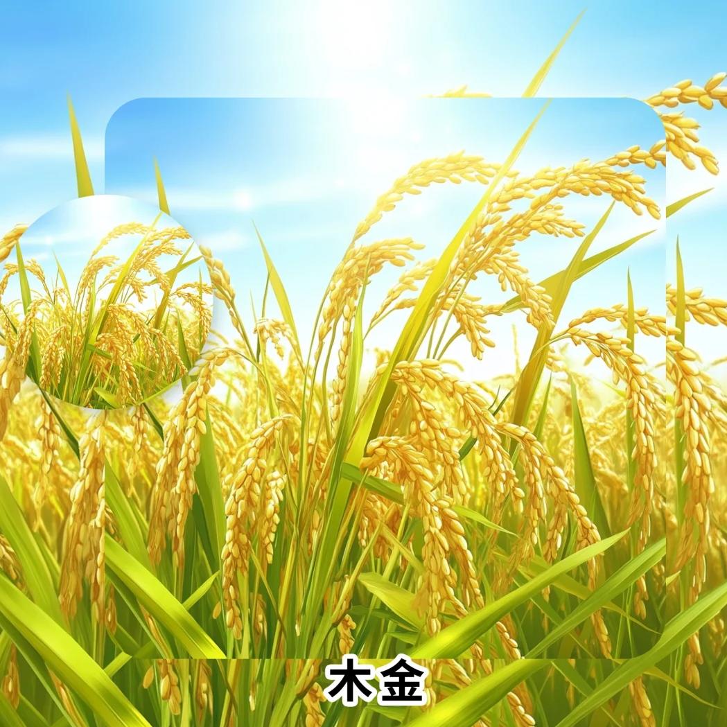 雾散尽