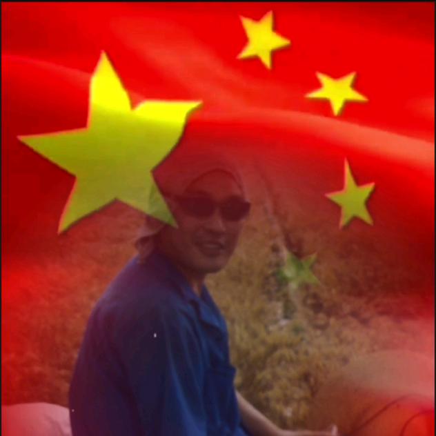 相逢何必曾相识