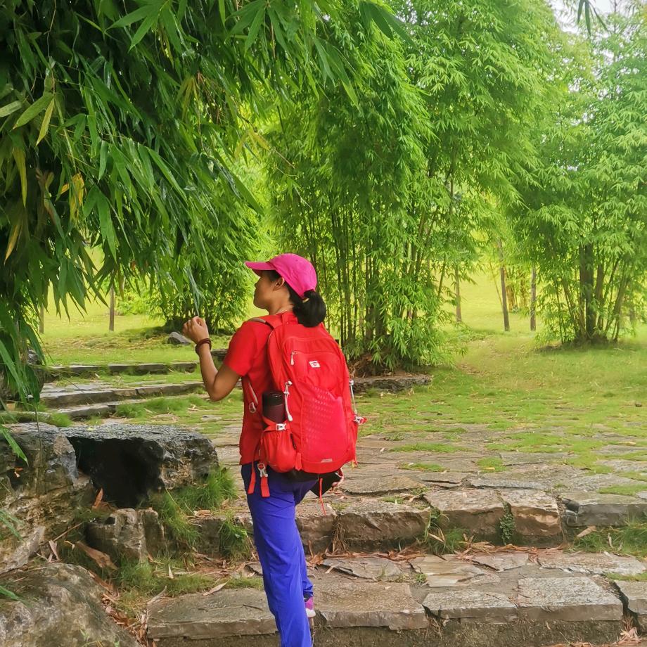 朵朵.