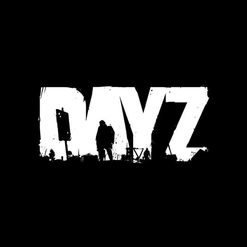DAYZ神哥